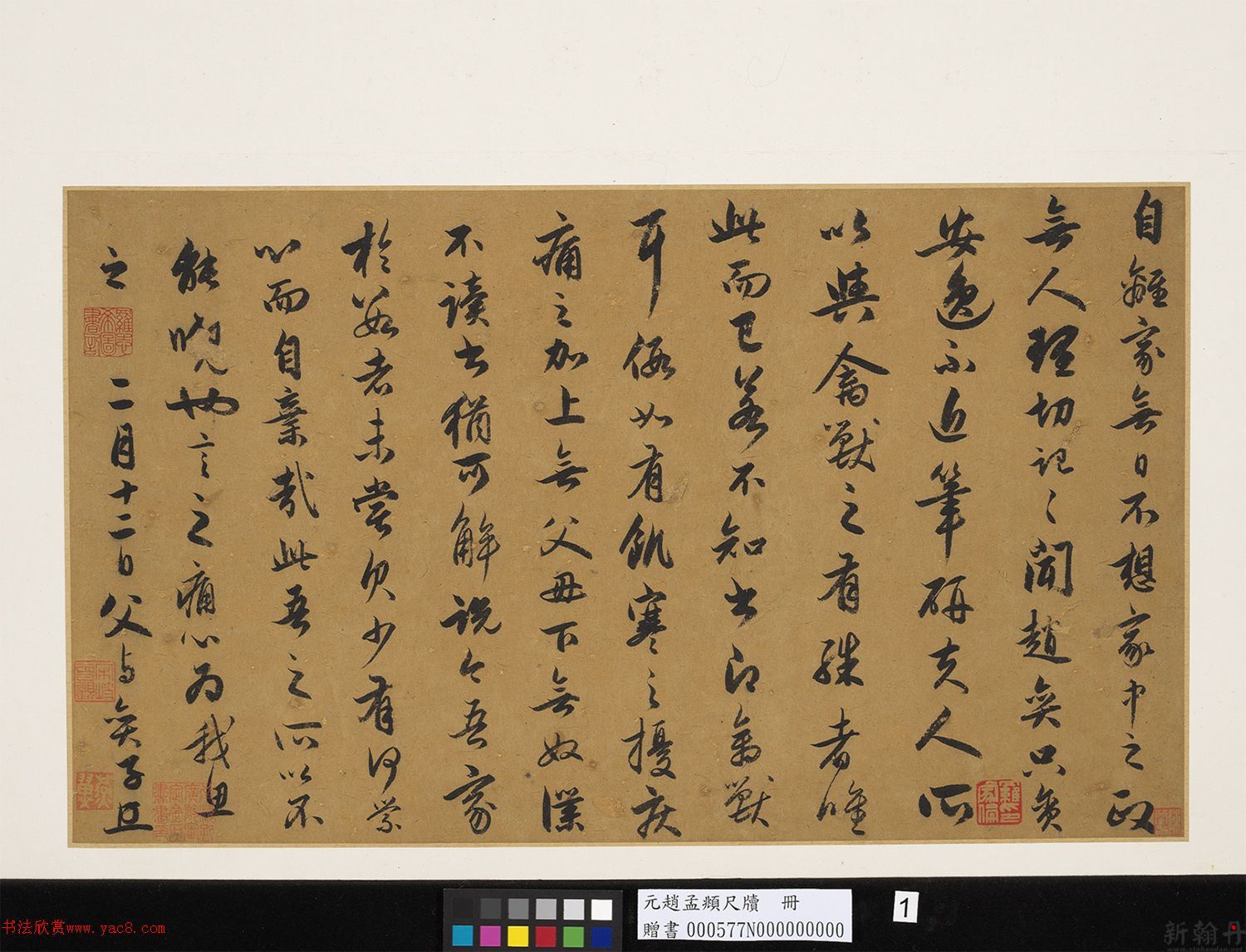 赵孟頫行书尺牍四札册..