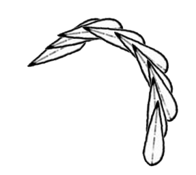 古人在书写过程中如何..