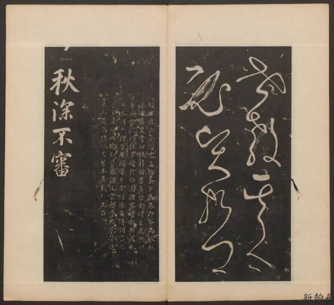 草书于师授之外