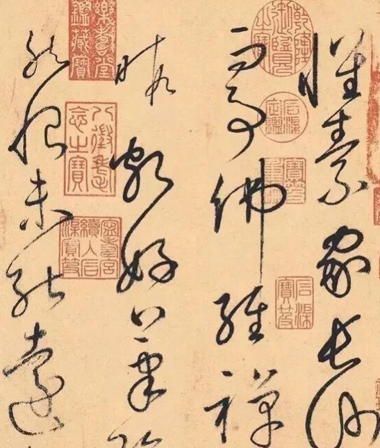 草书如何正确的学习 书法学习之草书