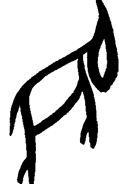 甲骨文兔字的写法