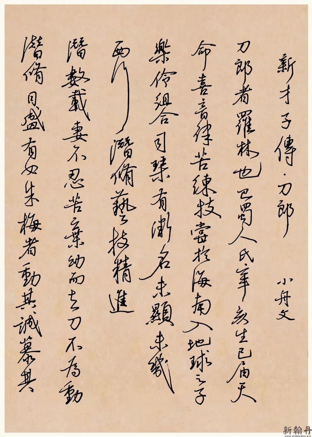 方存双硬笔书法《新才..