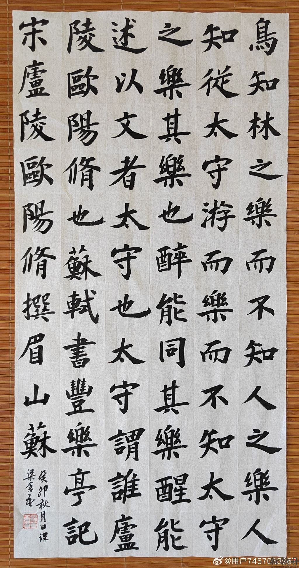 临写北宋书法家苏轼字..