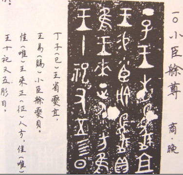 小臣艅犀尊图片和铭文