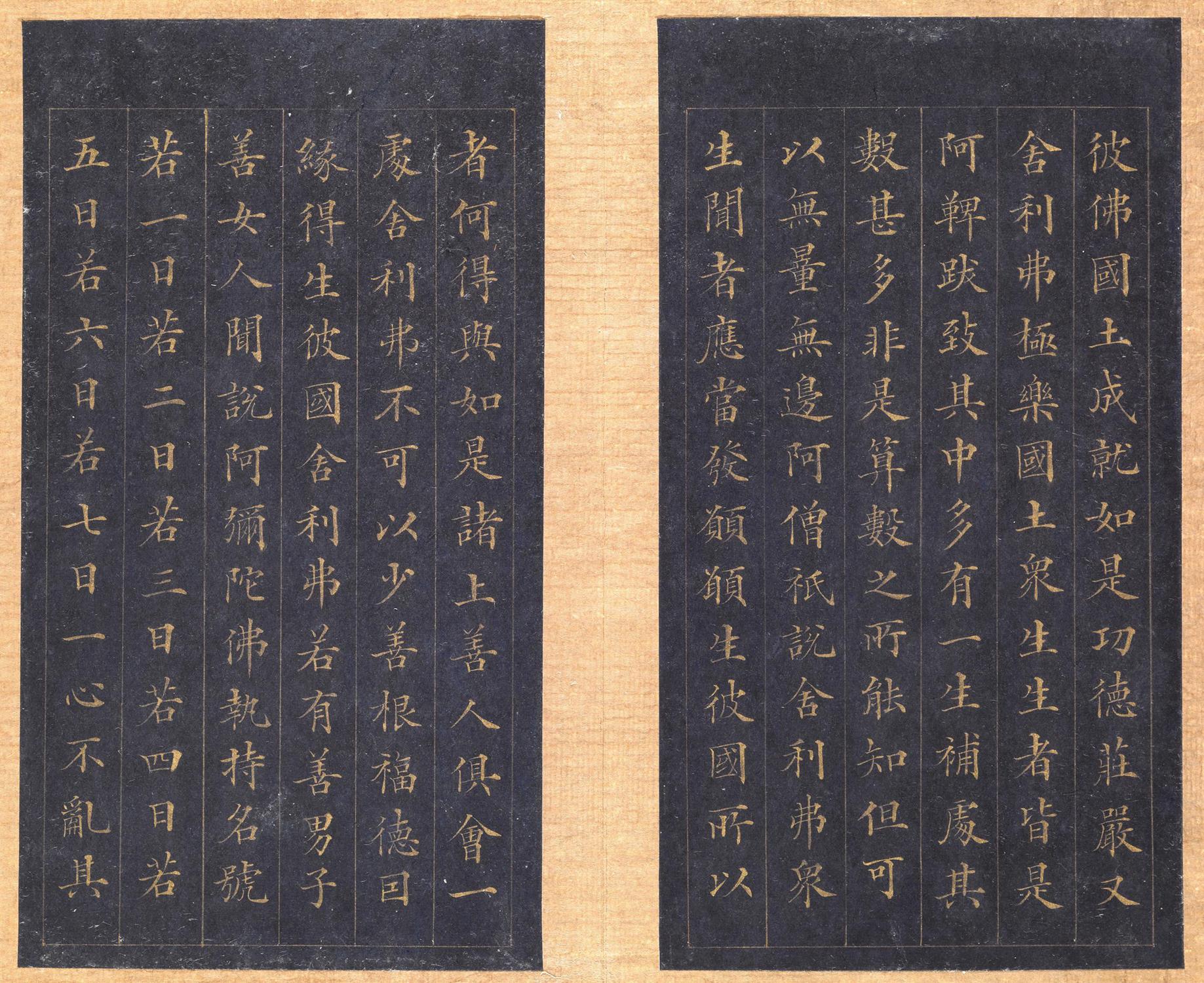 林则徐 无量寿经 图片