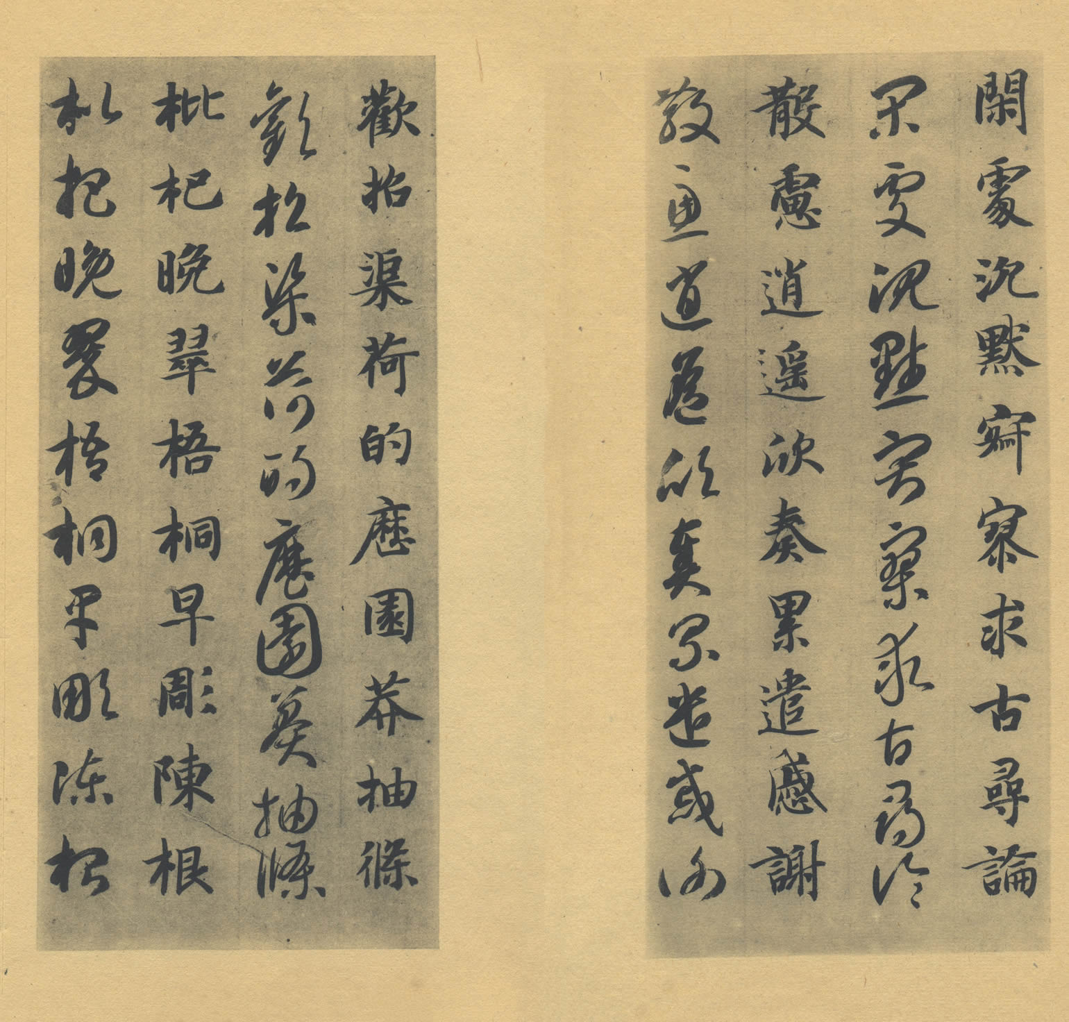 真草千字文 隋  智永  私人