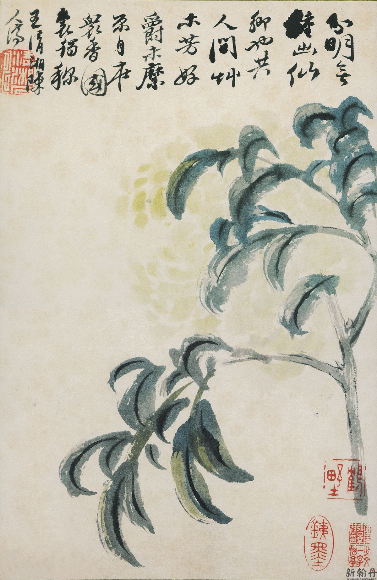 石涛 花卉图册12开 局部作品欣赏