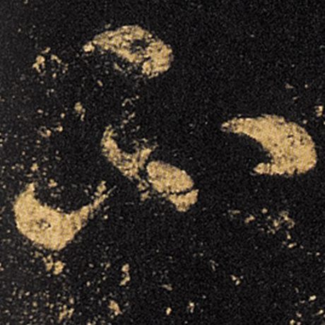 王羲之不字的草书写法