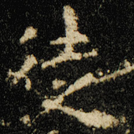 字：徒 书法家：欧阳询 作品：《化度寺碑》