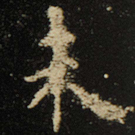 字：未 书法家：欧阳询 作品：《化度寺碑》