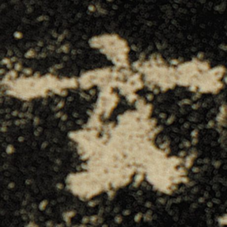 字：玄 书法家：欧阳询 作品：《化度寺碑》